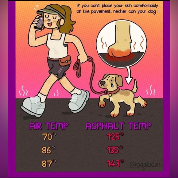 People have a heart - Picture 1 of 1